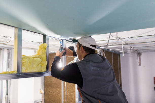 Best Residential Insulation in Lake Caroline, VA