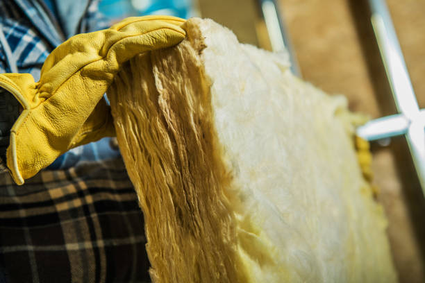 Best Blown-in Insulation in Lake Caroline, VA